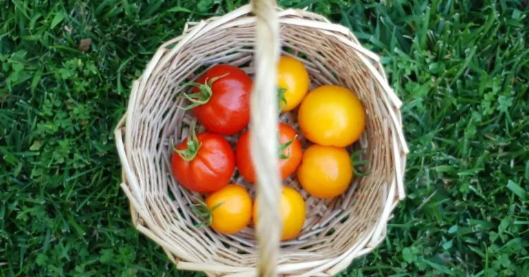 dua for good health featured